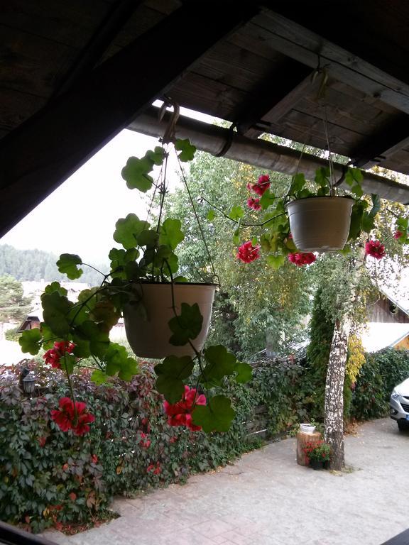 Vila Dariana Vatra Dornei Zewnętrze zdjęcie