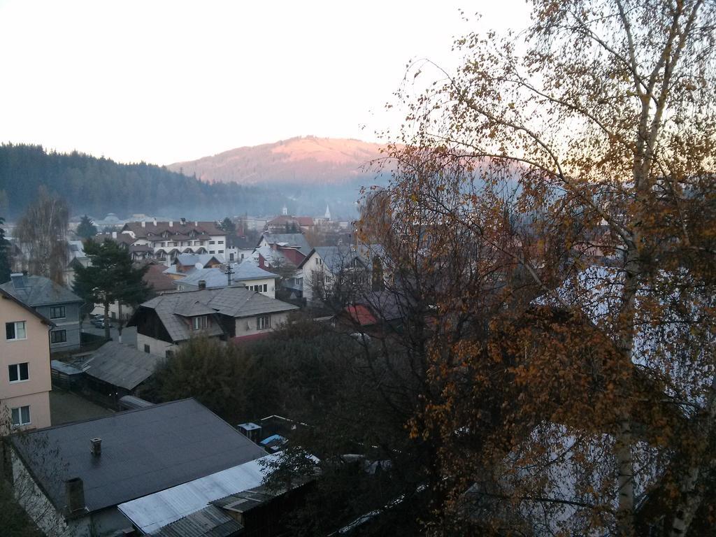 Vila Dariana Vatra Dornei Zewnętrze zdjęcie