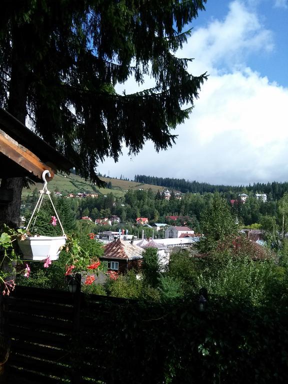 Vila Dariana Vatra Dornei Zewnętrze zdjęcie