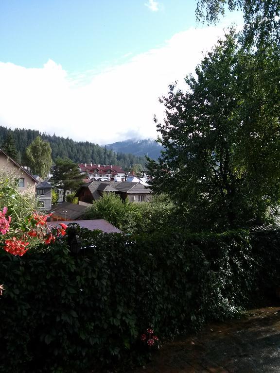 Vila Dariana Vatra Dornei Zewnętrze zdjęcie