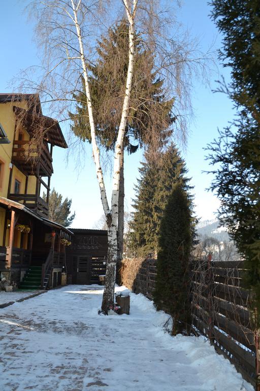 Vila Dariana Vatra Dornei Zewnętrze zdjęcie