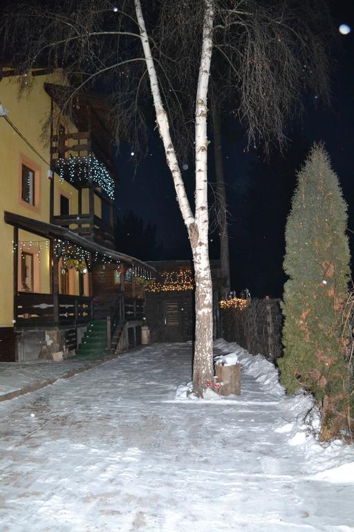 Vila Dariana Vatra Dornei Zewnętrze zdjęcie
