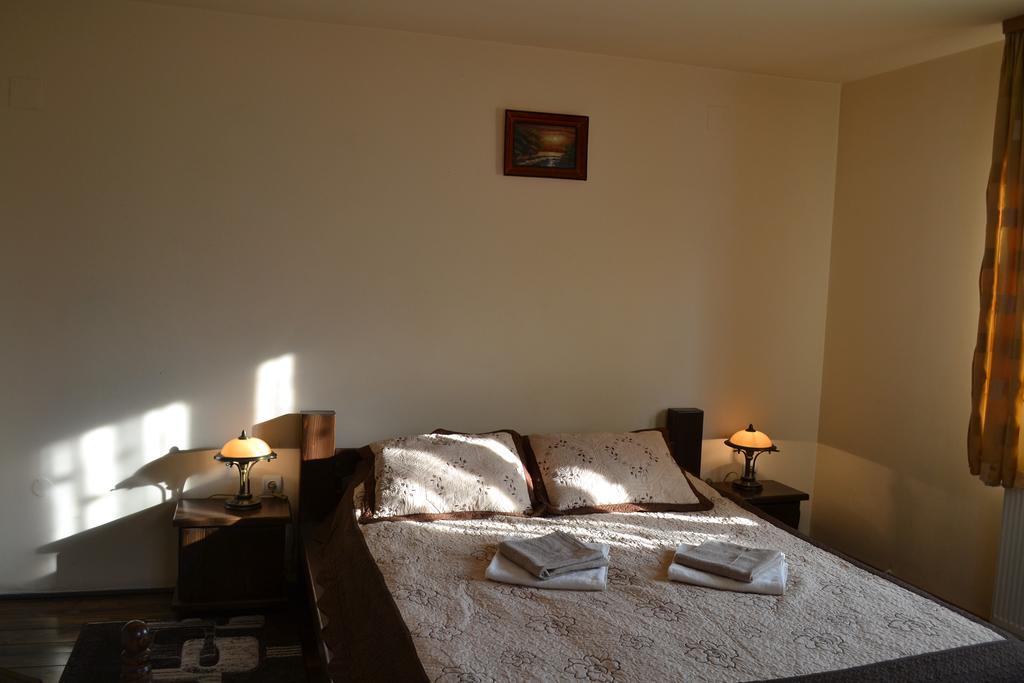 Vila Dariana Vatra Dornei Pokój zdjęcie