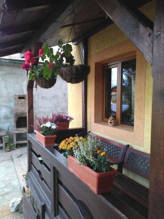 Vila Dariana Vatra Dornei Zewnętrze zdjęcie