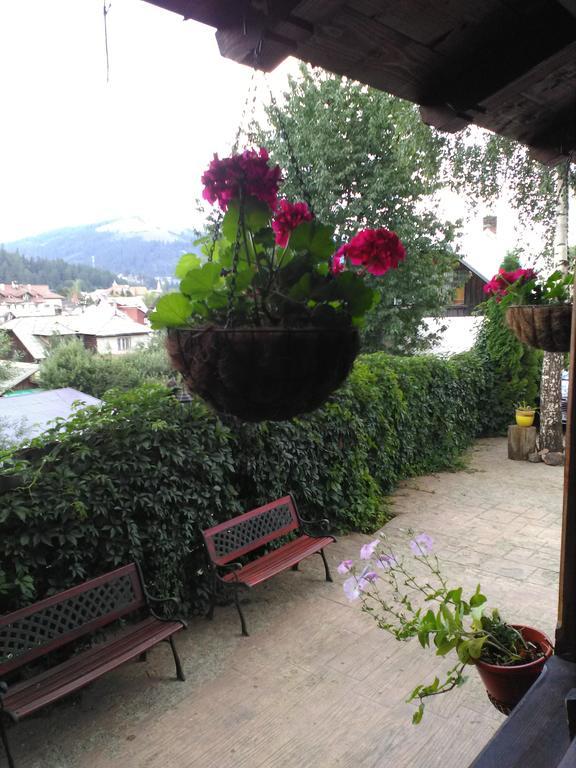 Vila Dariana Vatra Dornei Zewnętrze zdjęcie