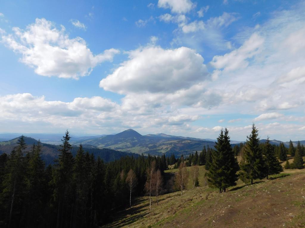Vila Dariana Vatra Dornei Zewnętrze zdjęcie