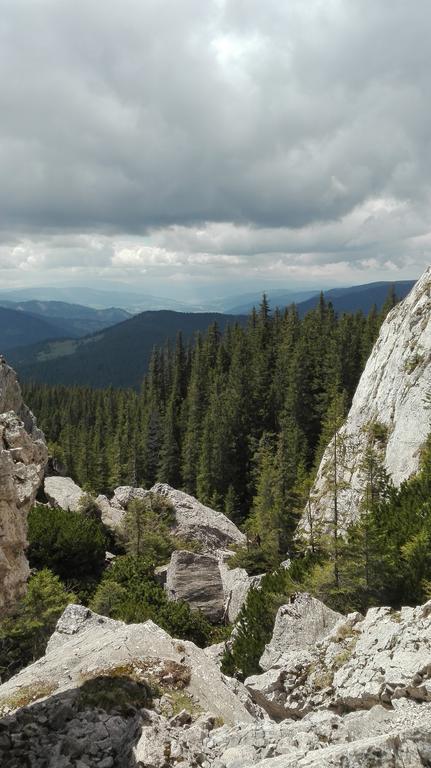 Vila Dariana Vatra Dornei Zewnętrze zdjęcie